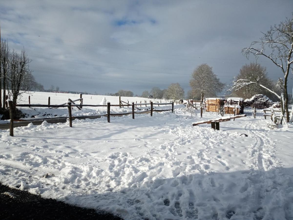 Gite Le Cheval Ardennais Gouvy Exterior foto